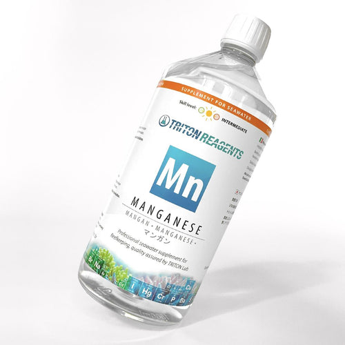 TRITON Manganese 1000ml plastic bottle - Front view